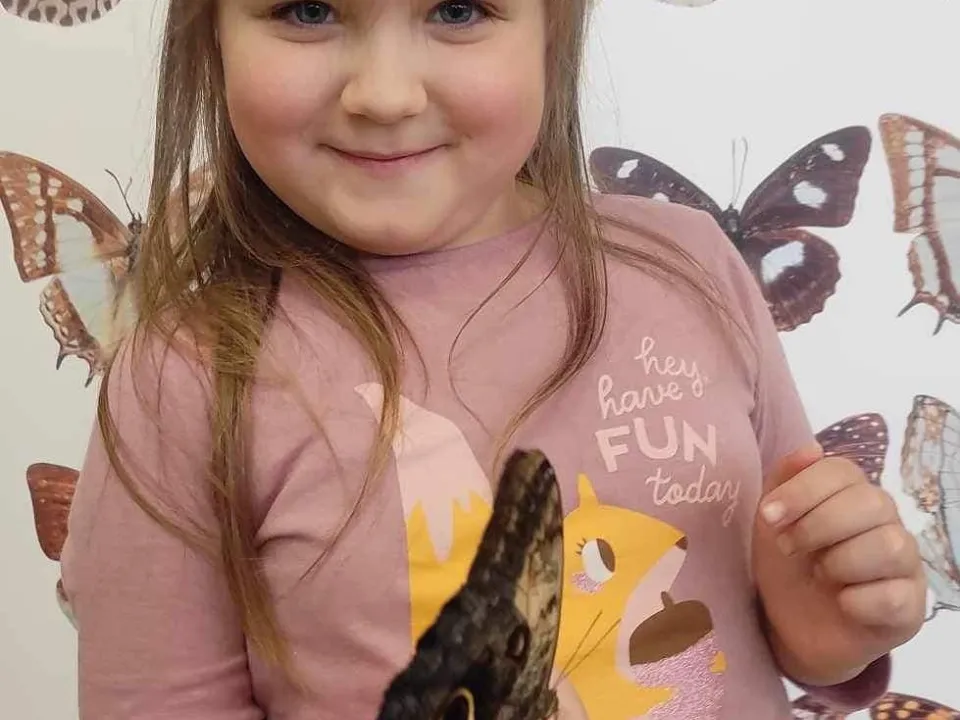Spotkanie z motylami w grupie delfinów — zdjęcie 17