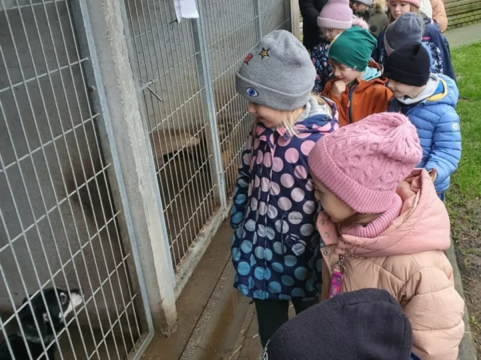 Wyjazd do schroniska w Dyminach — zdjęcie 7
