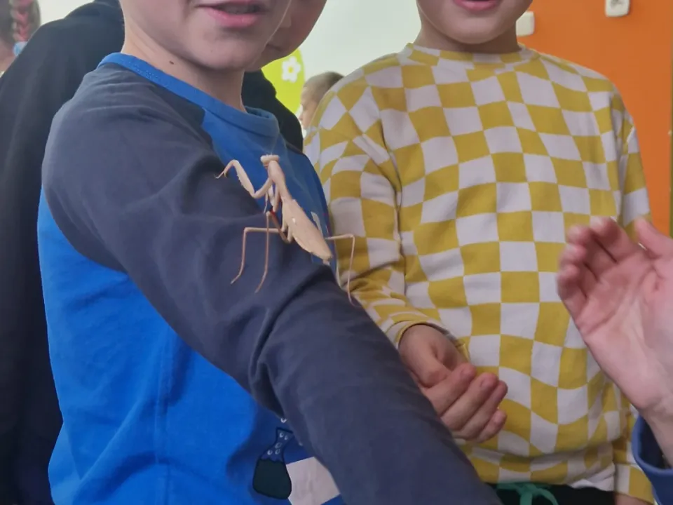 Spotkanie z modliszkam — zdjęcie 1