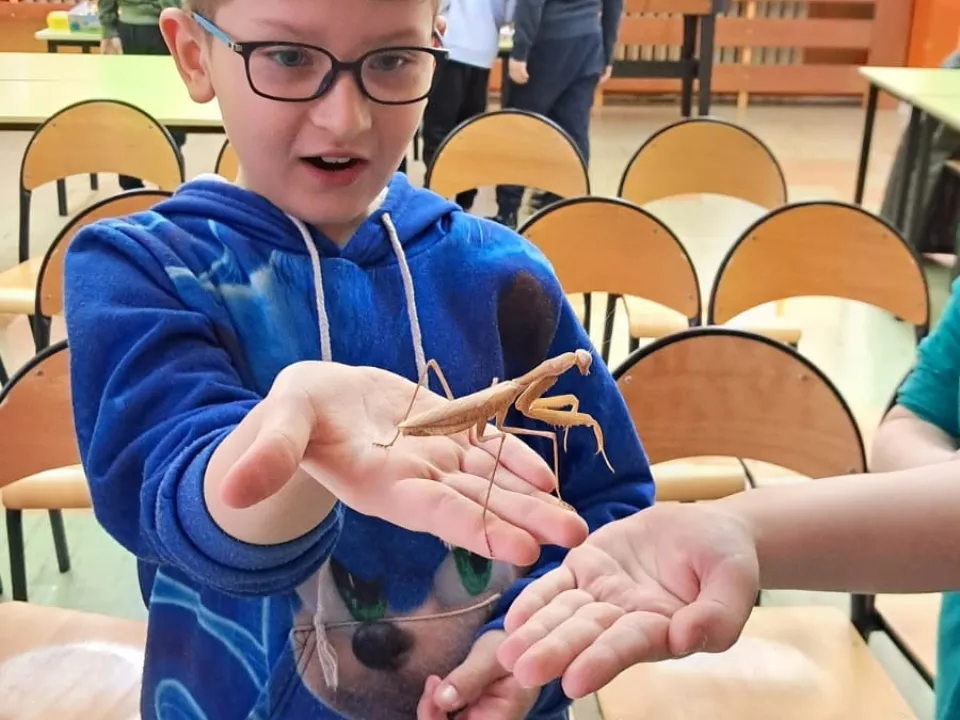 Spotkanie z modliszkam — zdjęcie 2