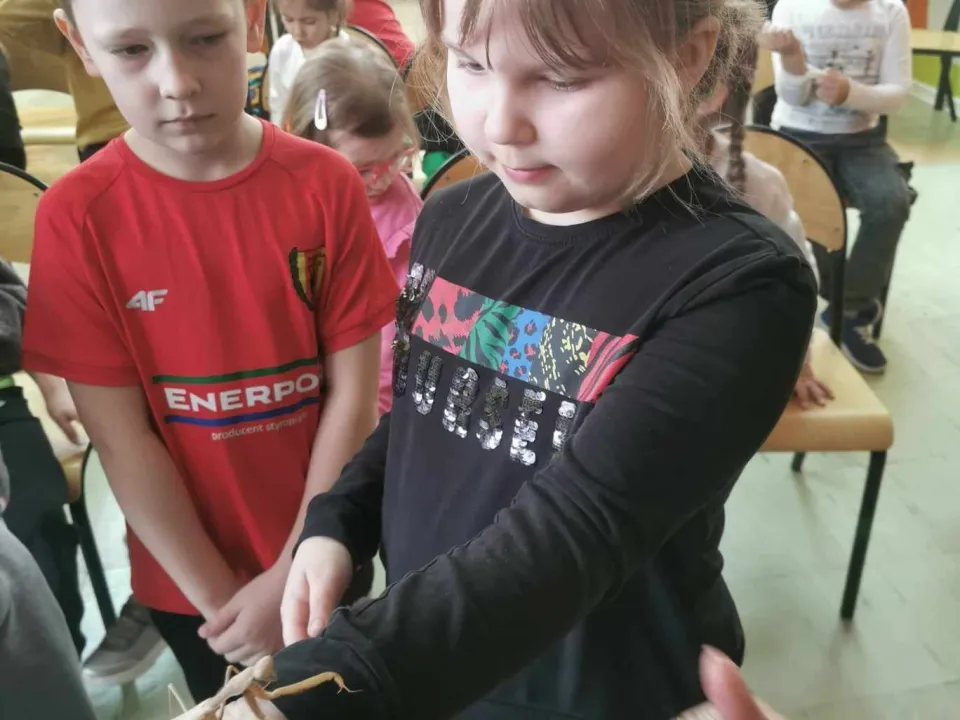 Spotkanie z modliszkam — zdjęcie 3