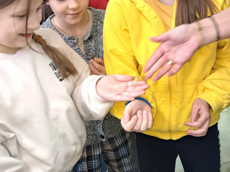 Spotkanie z modliszkam — zdjęcie 4