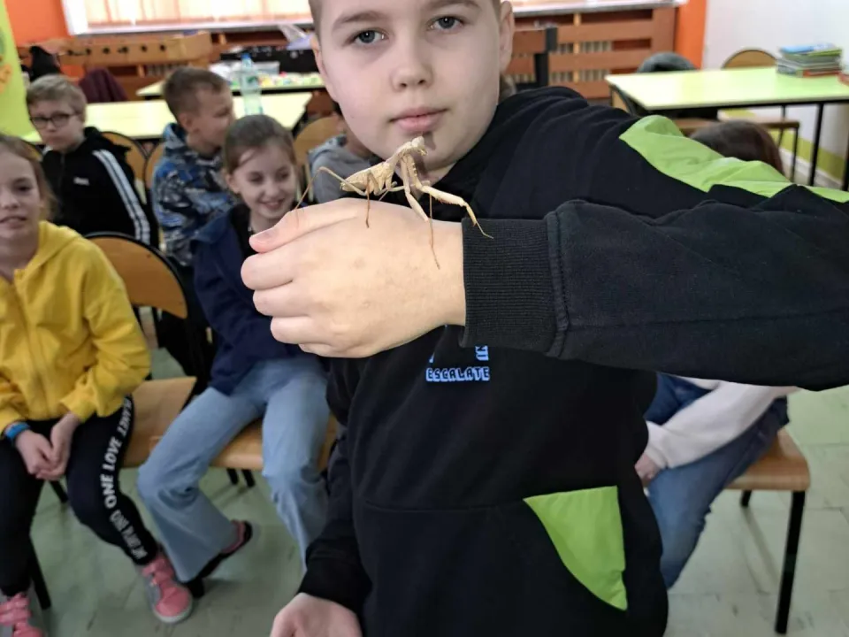 Spotkanie z modliszkam — zdjęcie 9