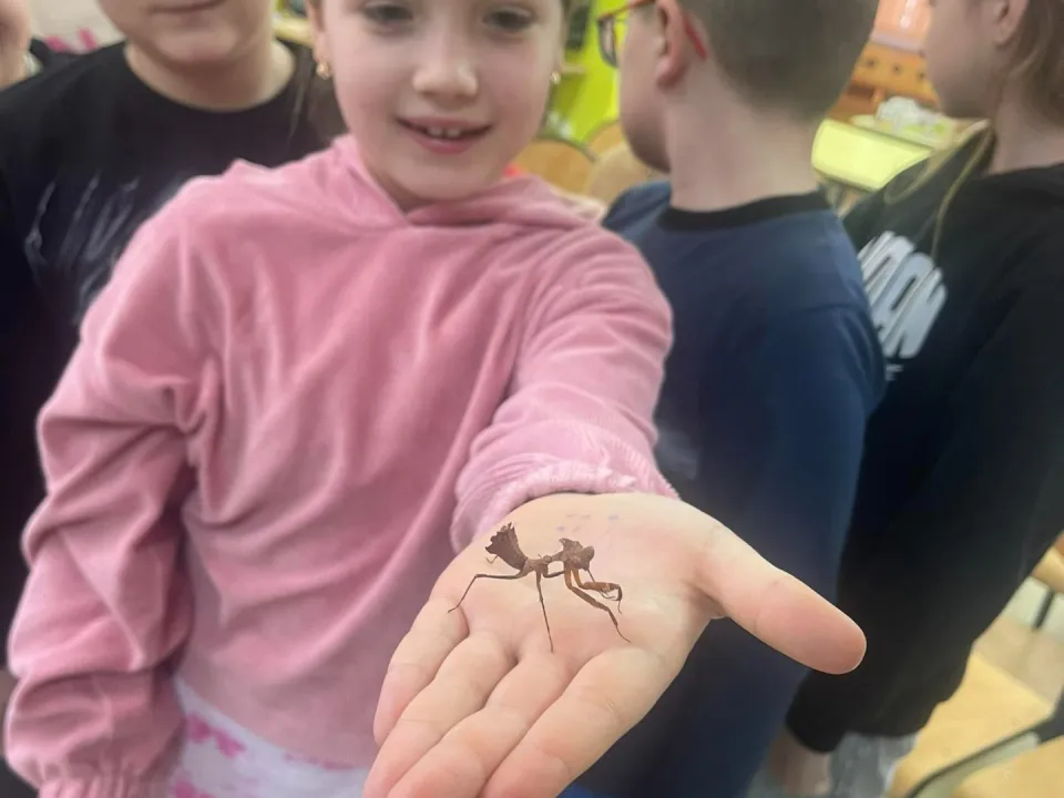 Spotkanie z modliszkam — zdjęcie 10
