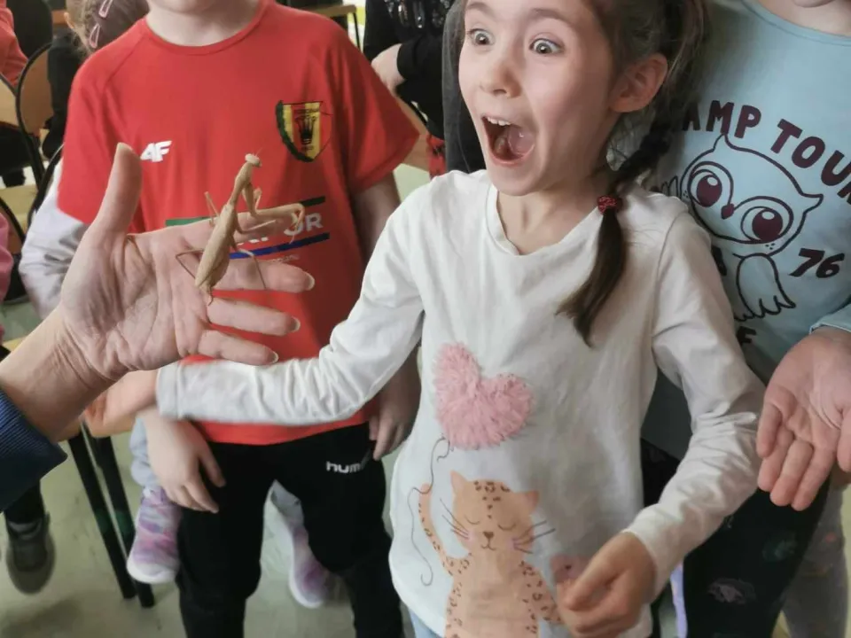 Spotkanie z modliszkam — zdjęcie 14