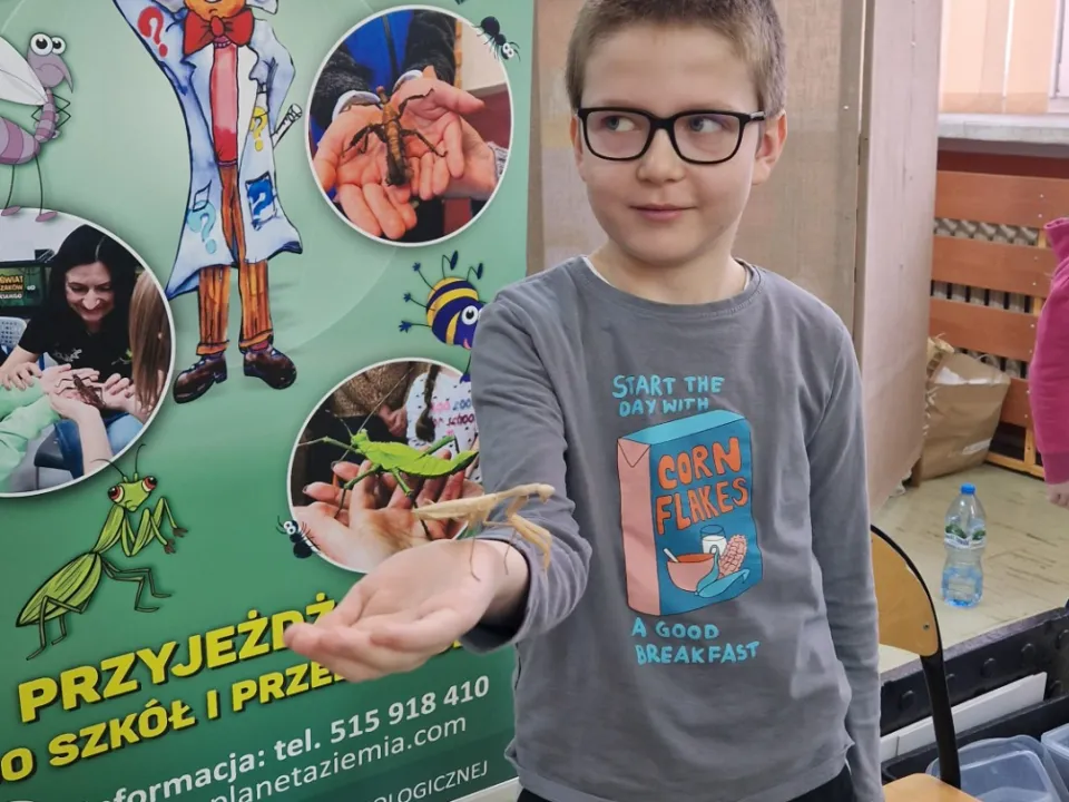 Spotkanie z modliszkam — zdjęcie 18