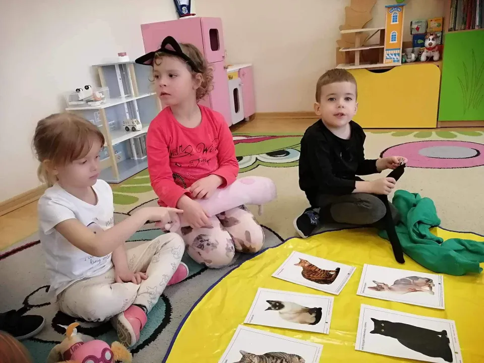Dzień kota — zdjęcie 2
