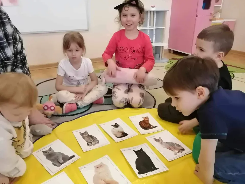 Dzień kota — zdjęcie 3