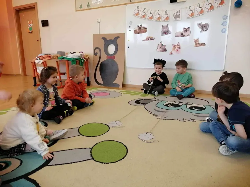 Dzień kota — zdjęcie 4