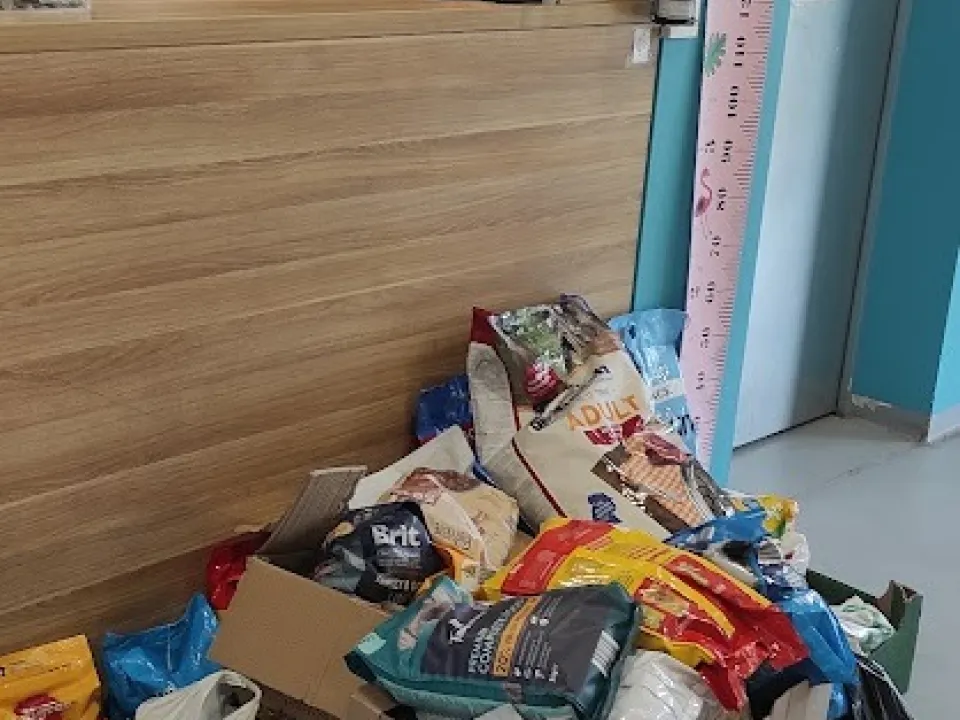 PODZIĘKOWANIE ZA ZBIÓRKĘ KARMY DLA ZWIERZĄT ZE SCHRONISKA — zdjęcie 1