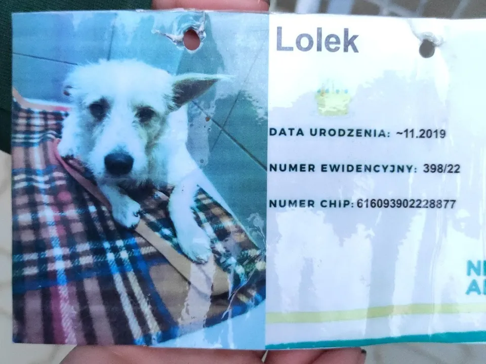 PODZIĘKOWANIE ZA ZBIÓRKĘ KARMY DLA ZWIERZĄT ZE SCHRONISKA — zdjęcie 5
