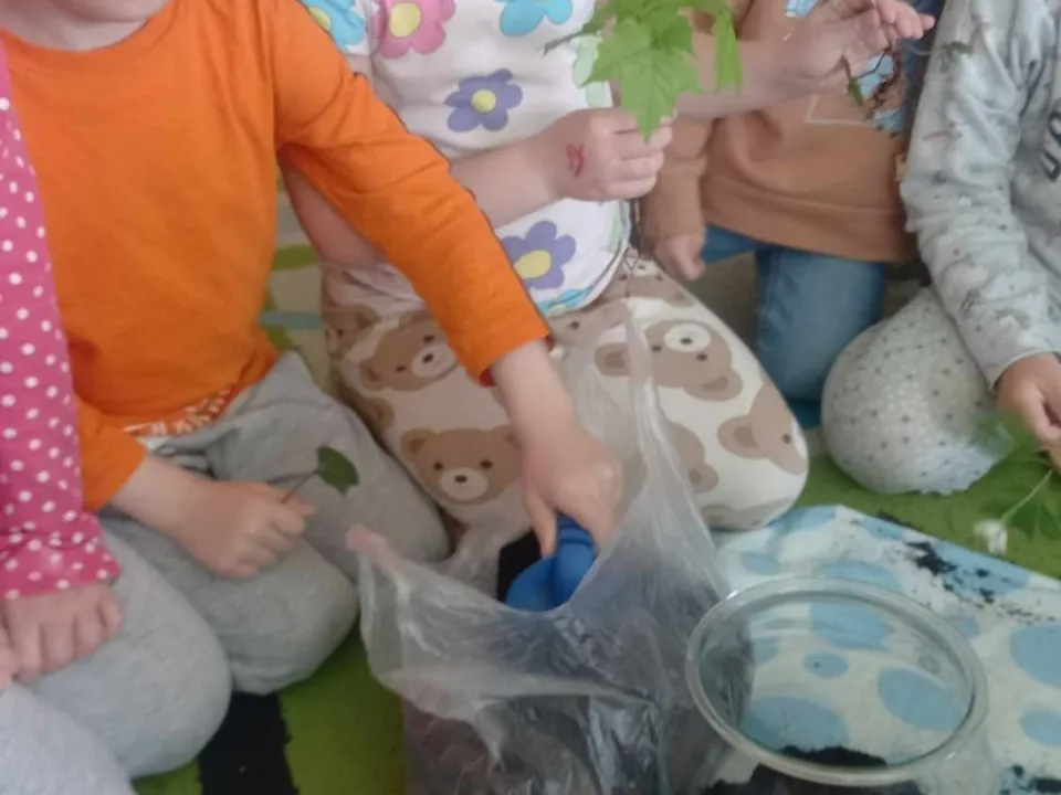 Zajęcia przyrodnicze — zdjęcie 4