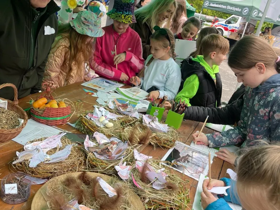 Piknik w Nadleśnictwie  — zdjęcie 2