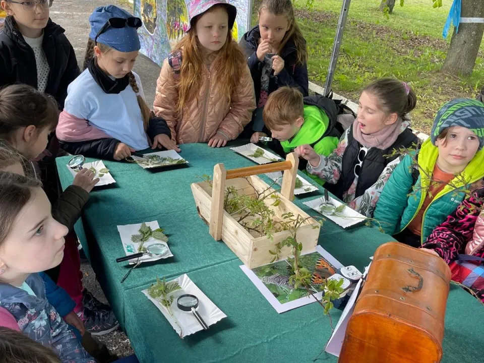 Piknik w Nadleśnictwie  — zdjęcie 8