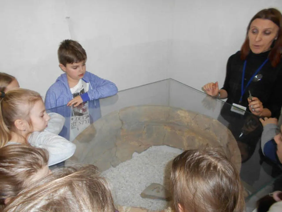 Kino i Muzeum — zdjęcie 5