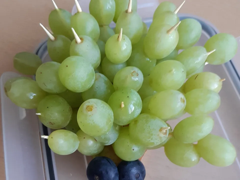 Food Art na technice kl. 5 — zdjęcie 16