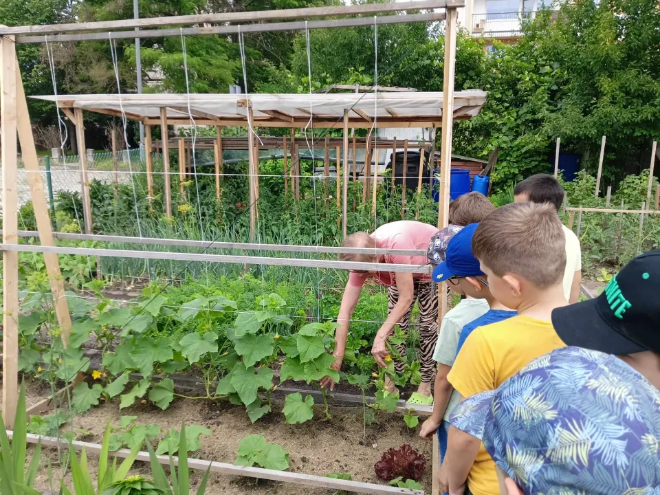 1b na ogródkach osiedlowych — zdjęcie 3