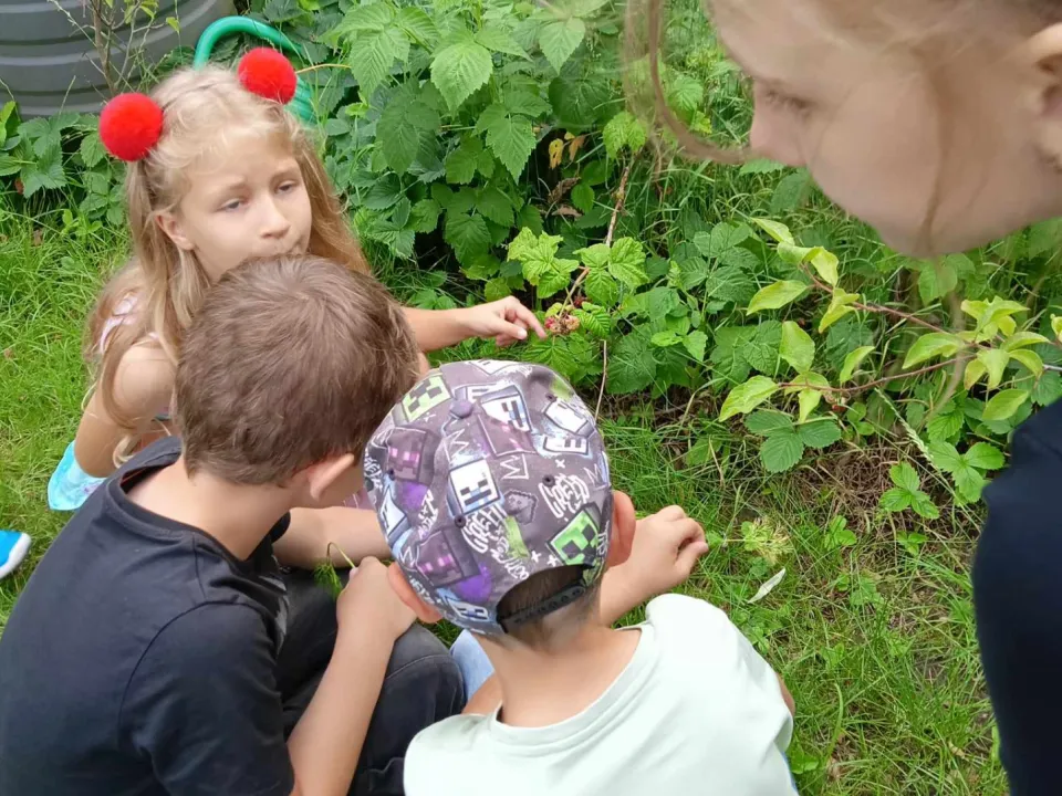 1b na ogródkach osiedlowych — zdjęcie 7