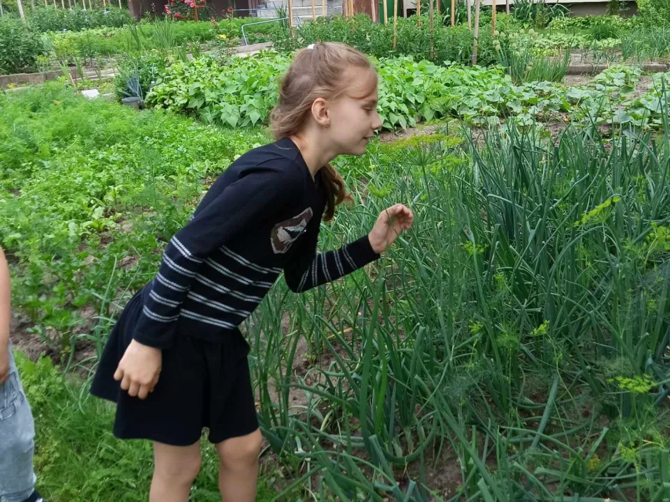 1b na ogródkach osiedlowych — zdjęcie 8