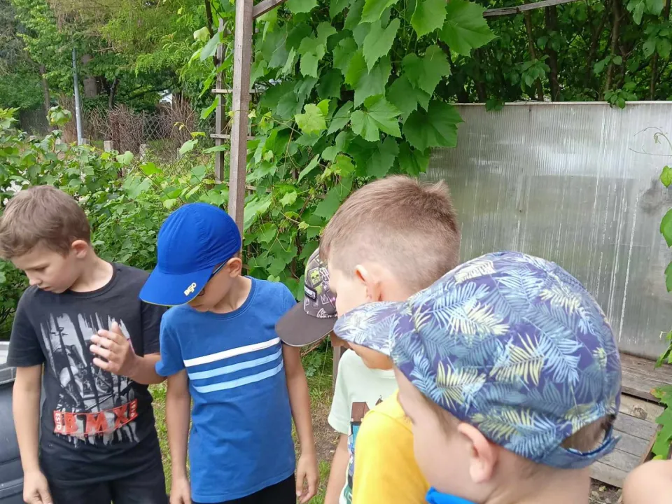 1b na ogródkach osiedlowych — zdjęcie 11