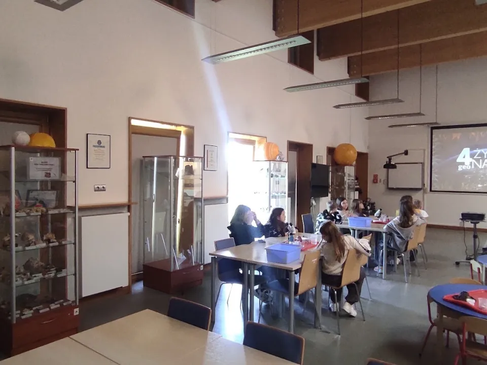 Klasa 5c i 4 żywioły natury w Geoparku — zdjęcie 5