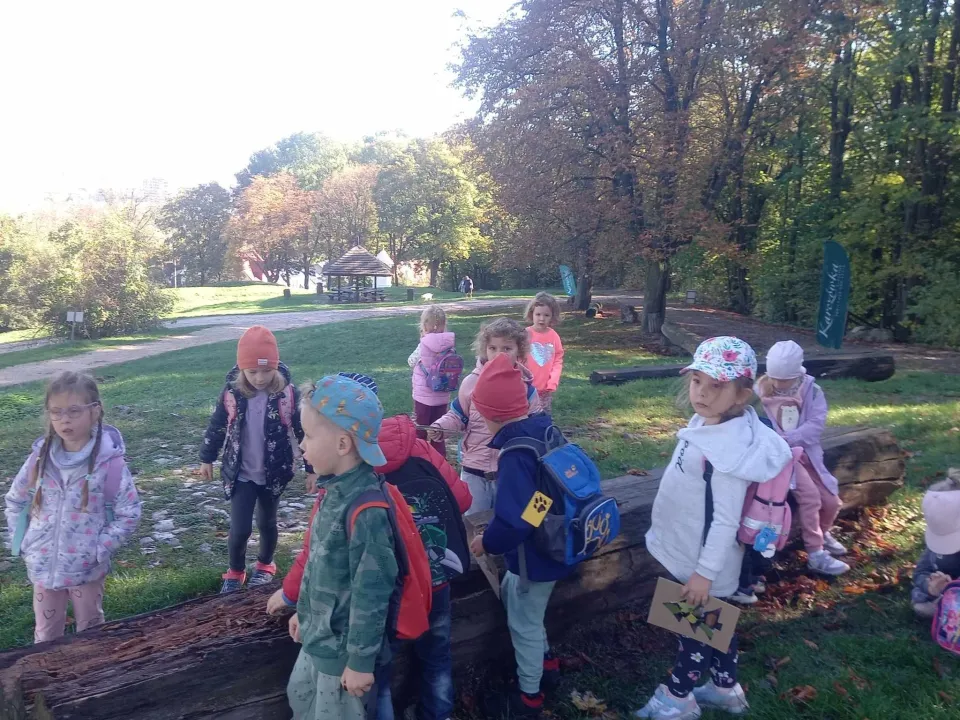 Biedronki na wzgórzu Karczówka — zdjęcie 8