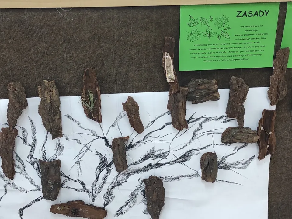 “Dzień Czystego Powietrza” w naszej szkole" — zdjęcie 1