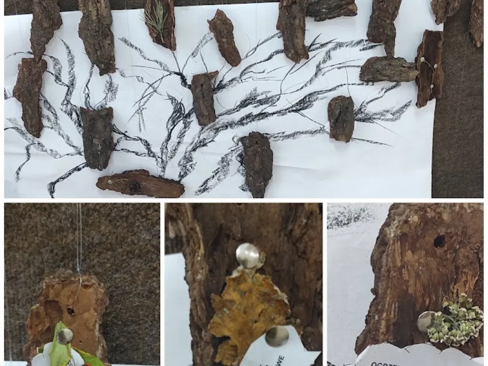 “Dzień Czystego Powietrza” w naszej szkole" — zdjęcie 2