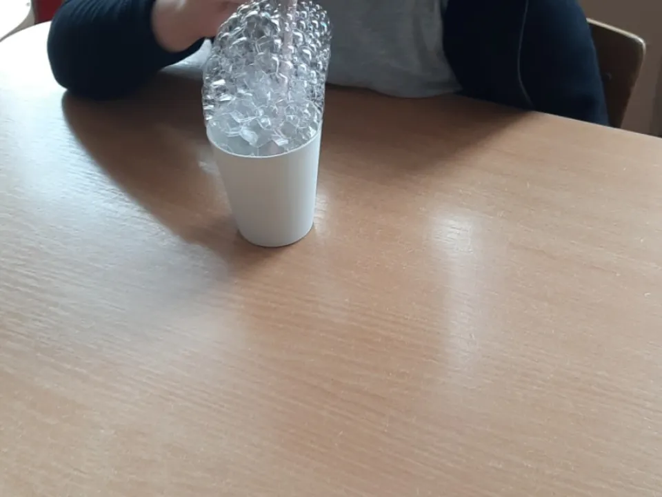 Eksperymenty w grupie Delfinów — zdjęcie 3