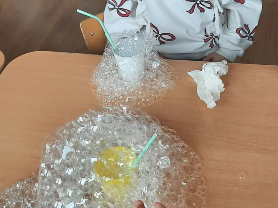 Eksperymenty w grupie Delfinów — zdjęcie 5