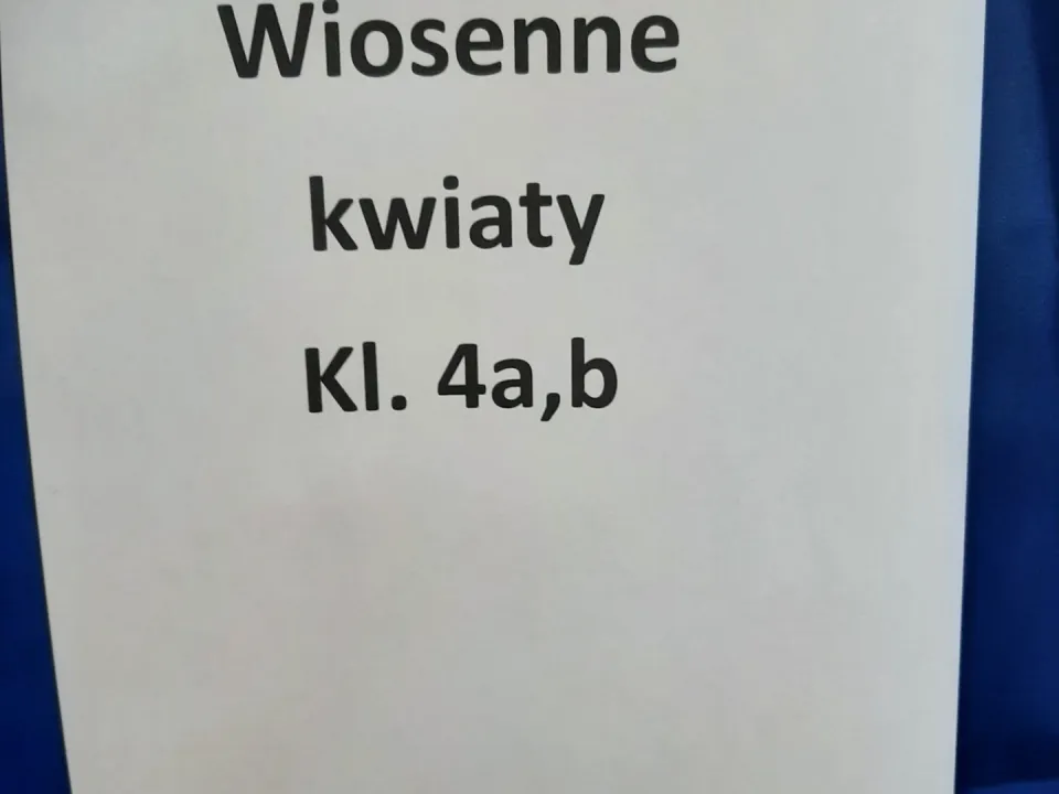 Wiosna — zdjęcie 23