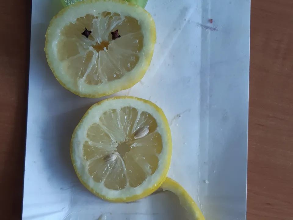 Food Art na technice kl. 5 — zdjęcie 31