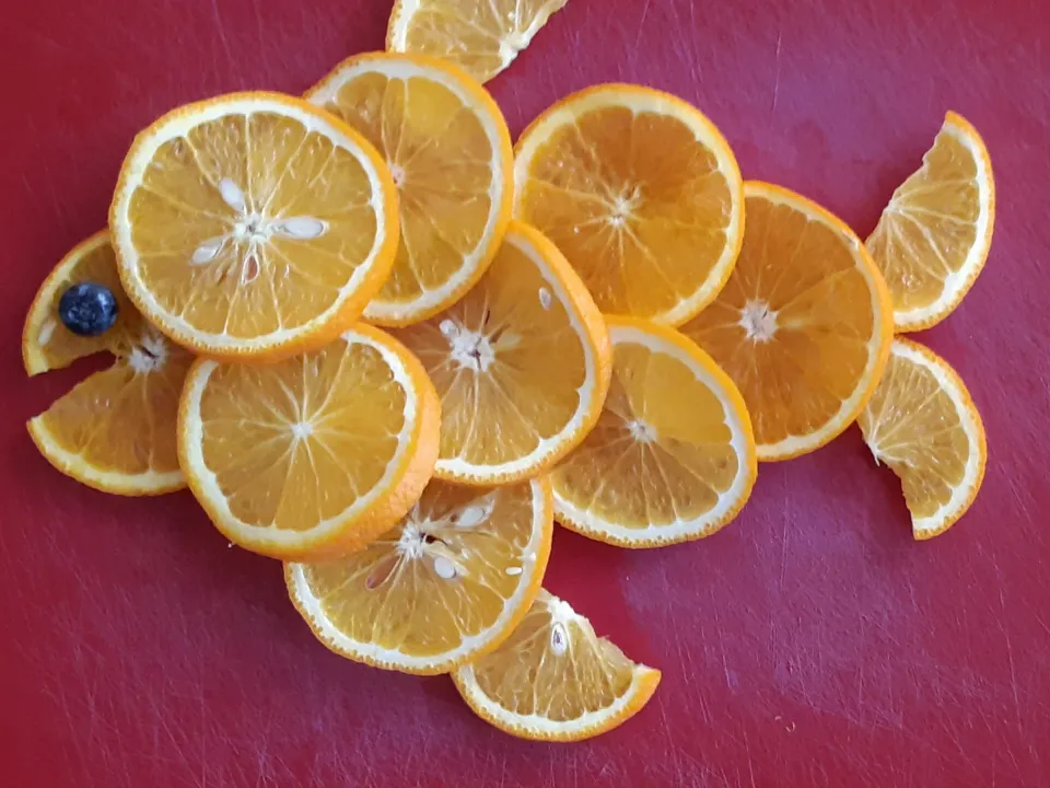 Food Art na technice kl. 5 — zdjęcie 36