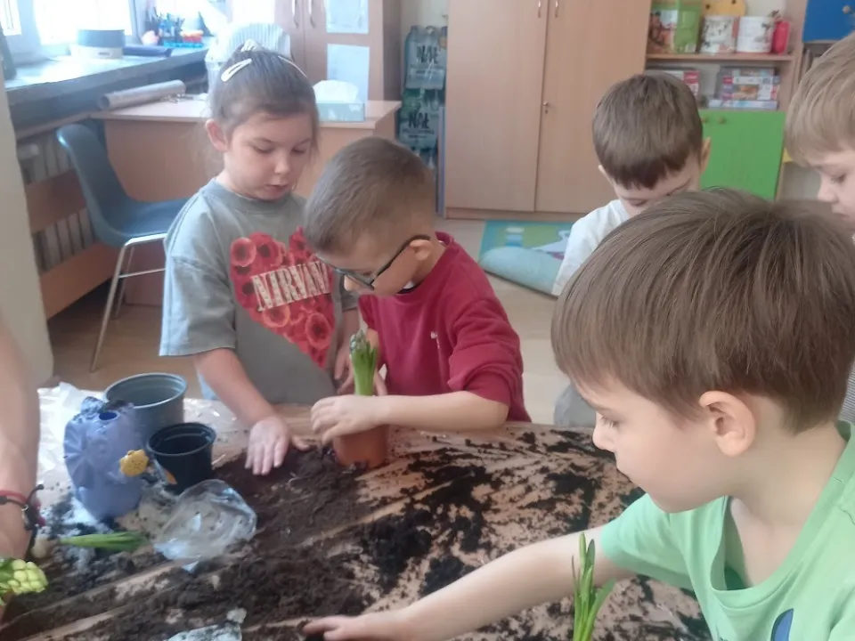 Sadzenie kwiatów — zdjęcie 5