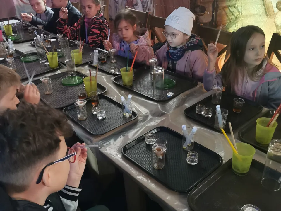 2a, 3a i 3c na wycieczce — zdjęcie 4