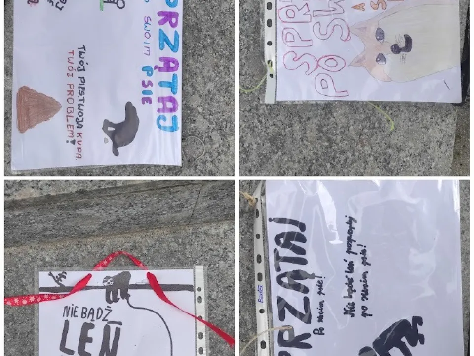 "Sprzątaj po swoim psie" — zdjęcie 1