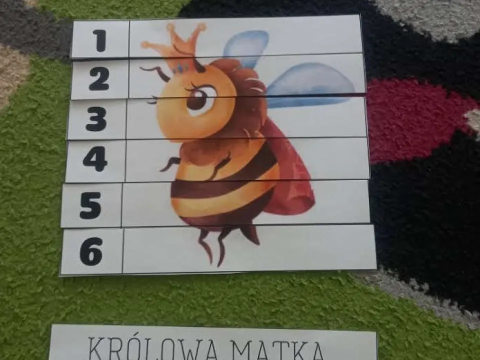 Międzynarodowy Dzień  Pszczoły — zdjęcie 5