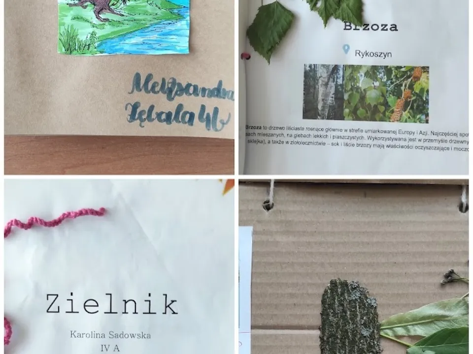 Jakie drzewa rosną w lesie?  — zdjęcie 6