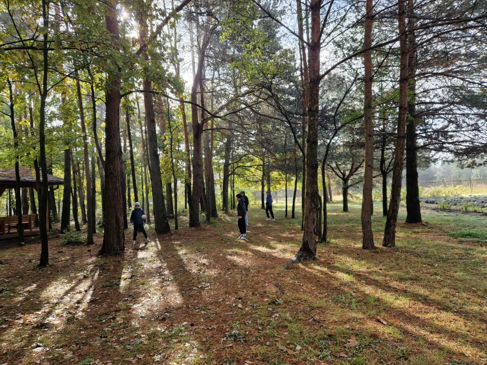 5c i 6b w Pietraszkach — zdjęcie 2