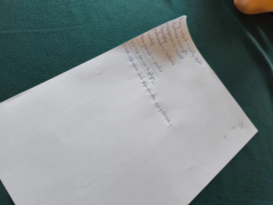 Spotkanie świetliczaków ze Stażą Miejską — zdjęcie 6