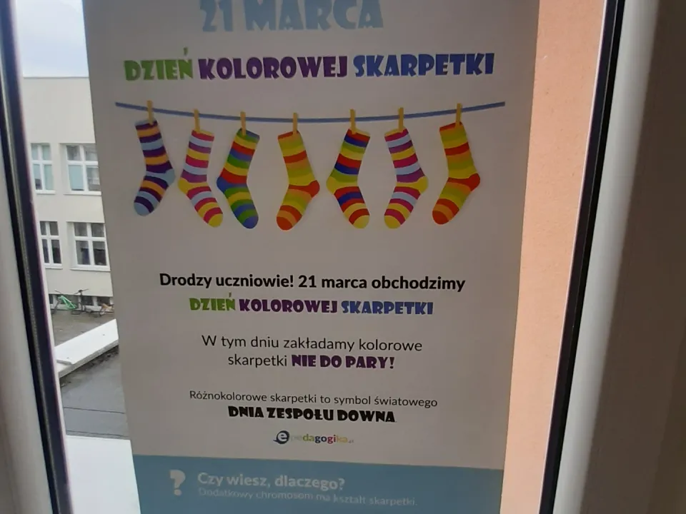 Dzień Kolorowej Skarpetki — zdjęcie 4