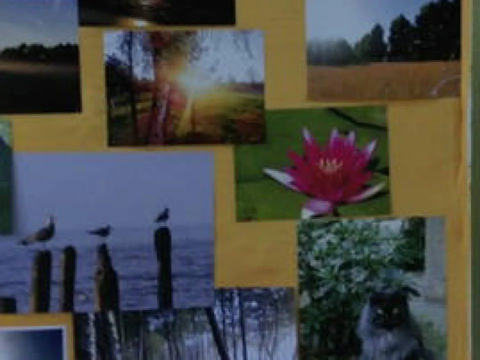 Konkurs fotograficzny i plastyczny — zdjęcie 3