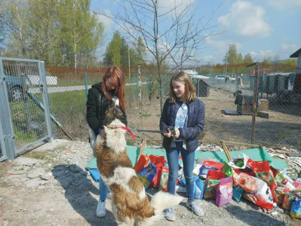 Schronisko dla zwierzat — zdjęcie 1