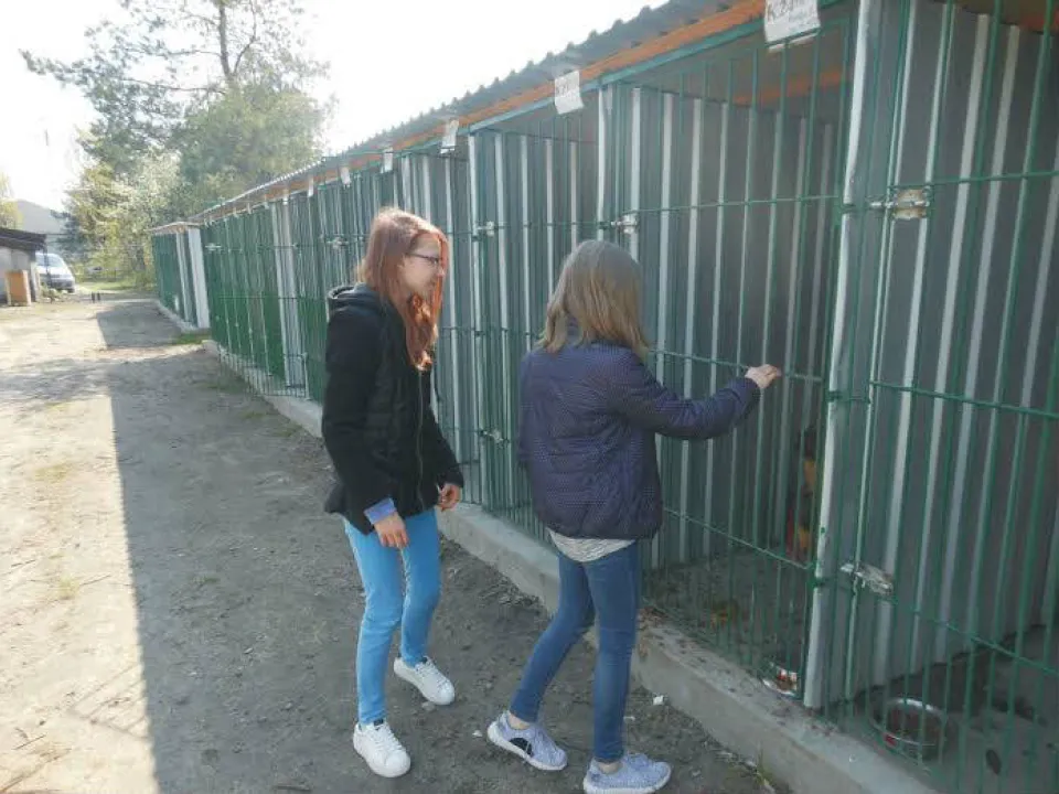 Schronisko dla zwierzat — zdjęcie 2