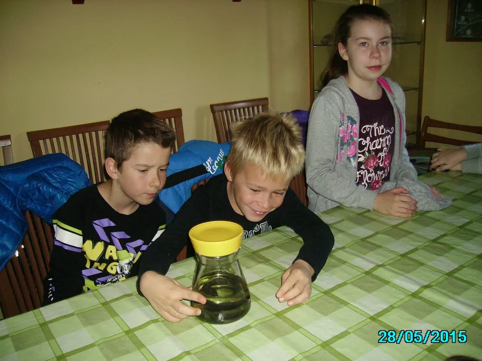 Klasa IIc na zajęciach przyrodniczych. — zdjęcie 2
