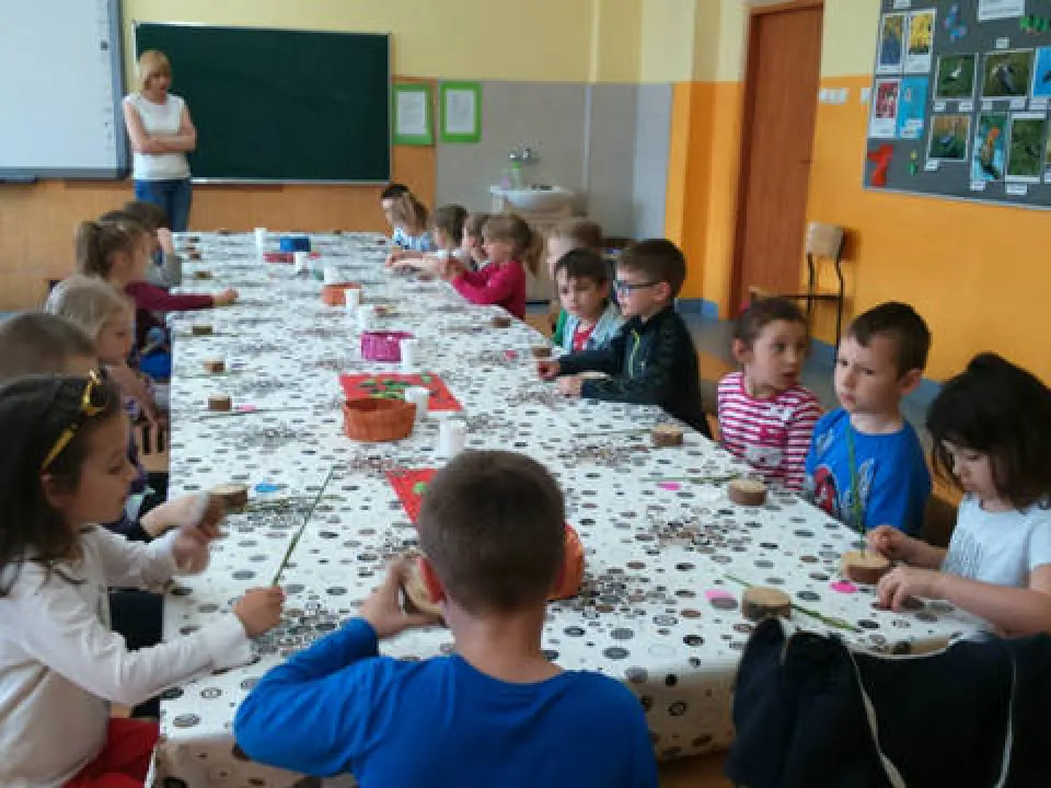 zdjęcia zerówka — zdjęcie 1