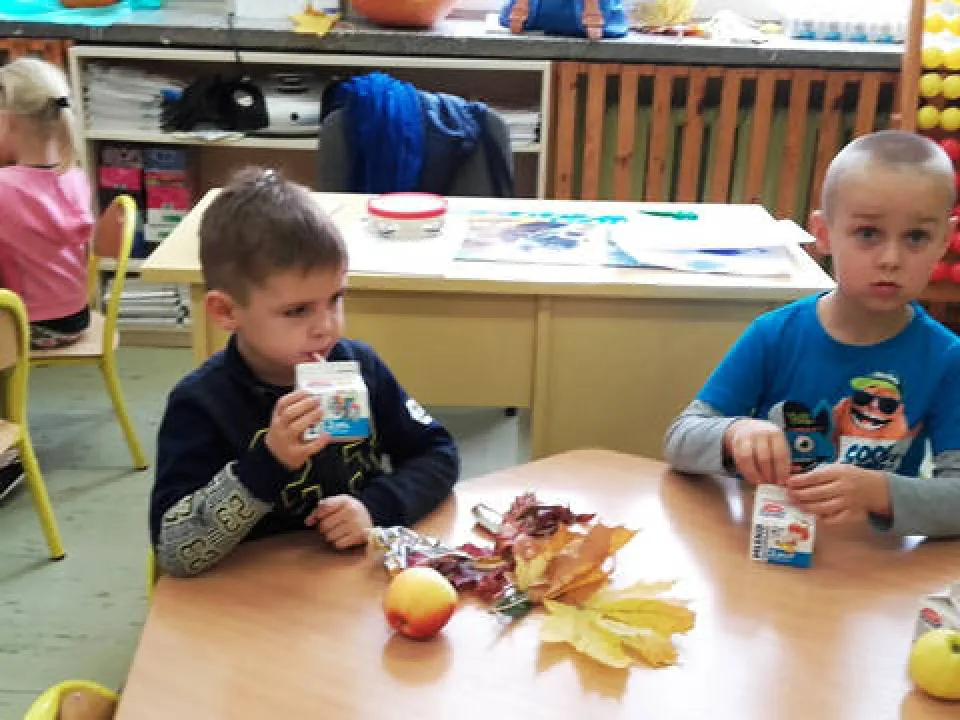 Owoce i mleko w szkole — zdjęcie 2