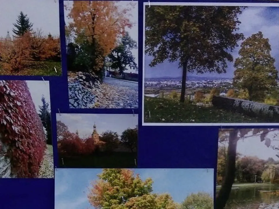 Konkurs fotograficzny pt. „Kolorowa jesień” — zdjęcie 1
