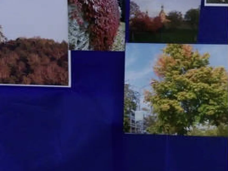 Konkurs fotograficzny pt. „Kolorowa jesień” — zdjęcie 2