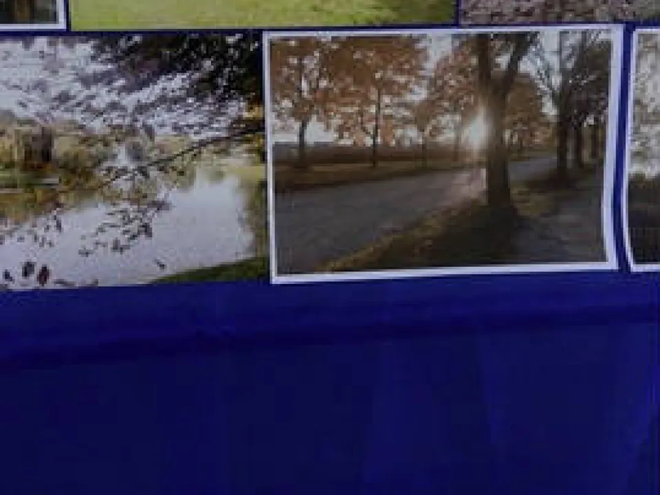 Konkurs fotograficzny pt. „Kolorowa jesień” — zdjęcie 3